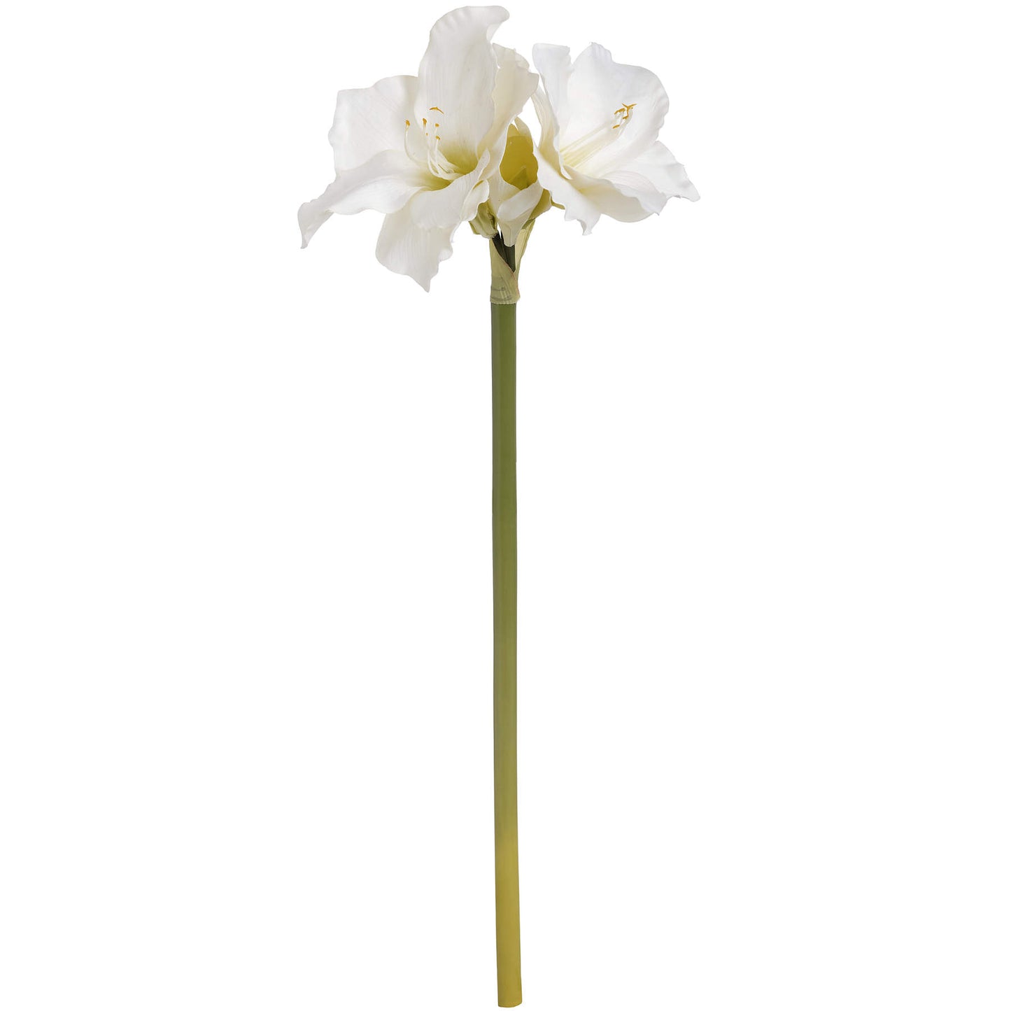 Amaryllis Flower - Classic White  17624 Hill Interiors Faux Flowers Cote Furniture