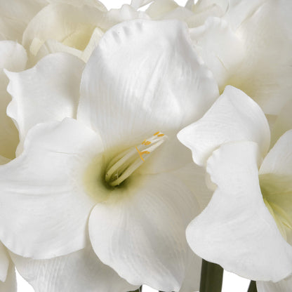 Amaryllis Flower - Classic White  17624 Hill Interiors Faux Flowers Cote Furniture