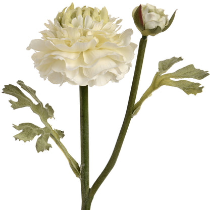 Ranunculus Spray - Green  18940 Hill Interiors Faux Flowers Cote Furniture