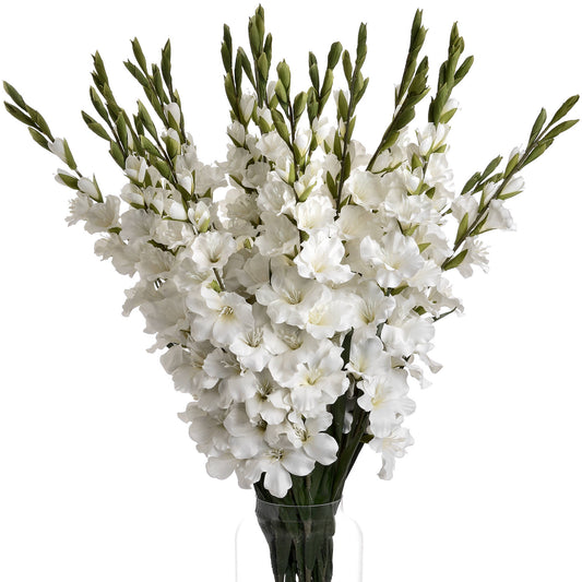 Gladioli - White 18965 Hill Interiors Faux Flowers Cote Furniture