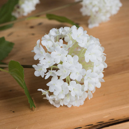 Viburnum Opulus - White 18969 Hill Interiors Faux Flowers Cote Furniture