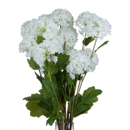 Viburnum Opulus - White 18969 Hill Interiors Faux Flowers Cote Furniture