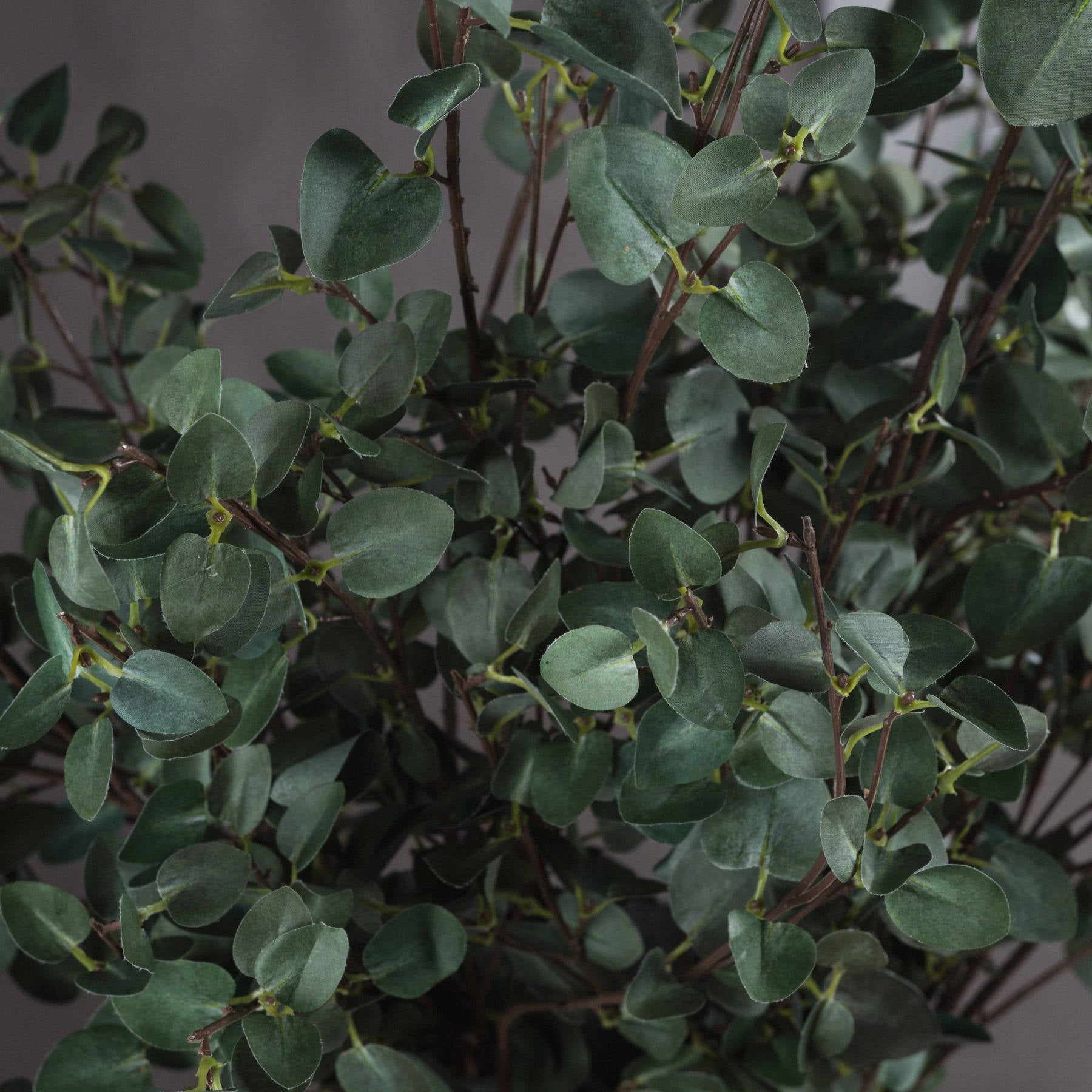 Tall Eucalyptus Stem - Green Foliage 19017 Hill Interiors Faux Flowers Cote Furniture