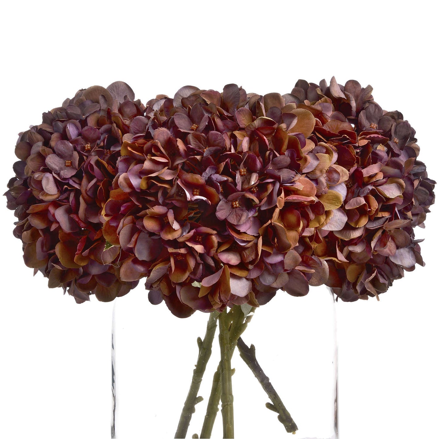 Coffee Hydrangea - Autumnal Tones 19035 Hill Interiors Faux Flowers Cote Furniture