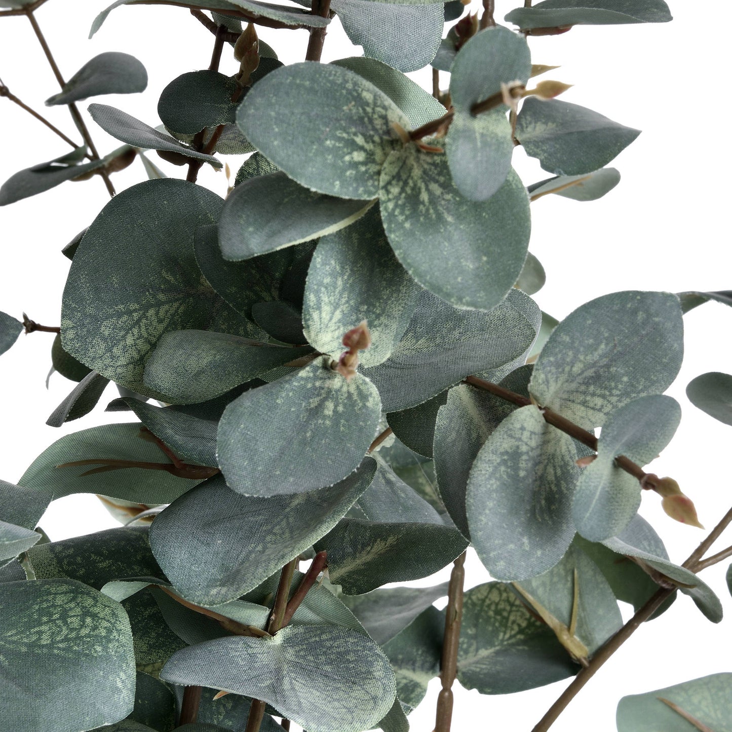 Variegated Eucalyptus - Green Foliage 19049 Hill Interiors Faux Flowers Cote Furniture