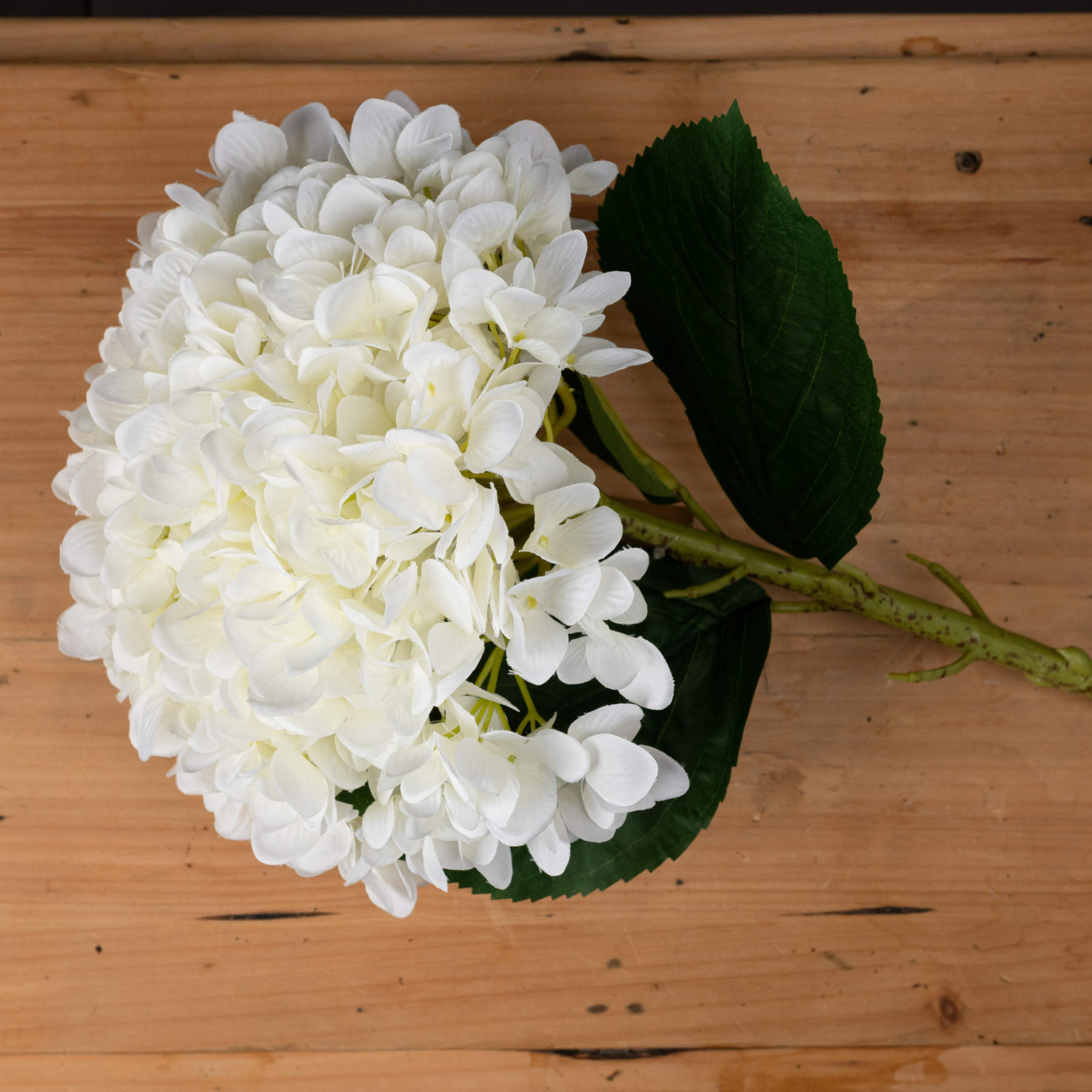 Oversized Hydrangea - White 19059 Hill Interiors Faux Flowers Cote Furniture