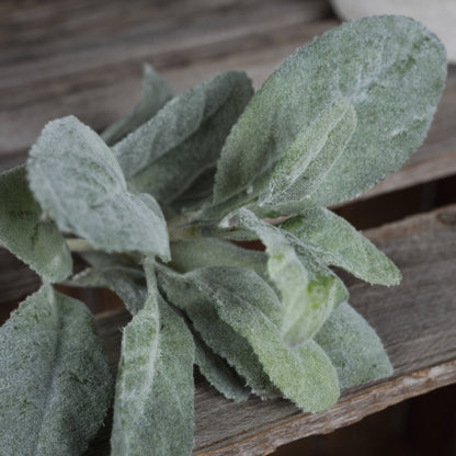 Lambs Ear Spray - Foliage 19564 Hill Interiors Faux Flowers Cote Furniture