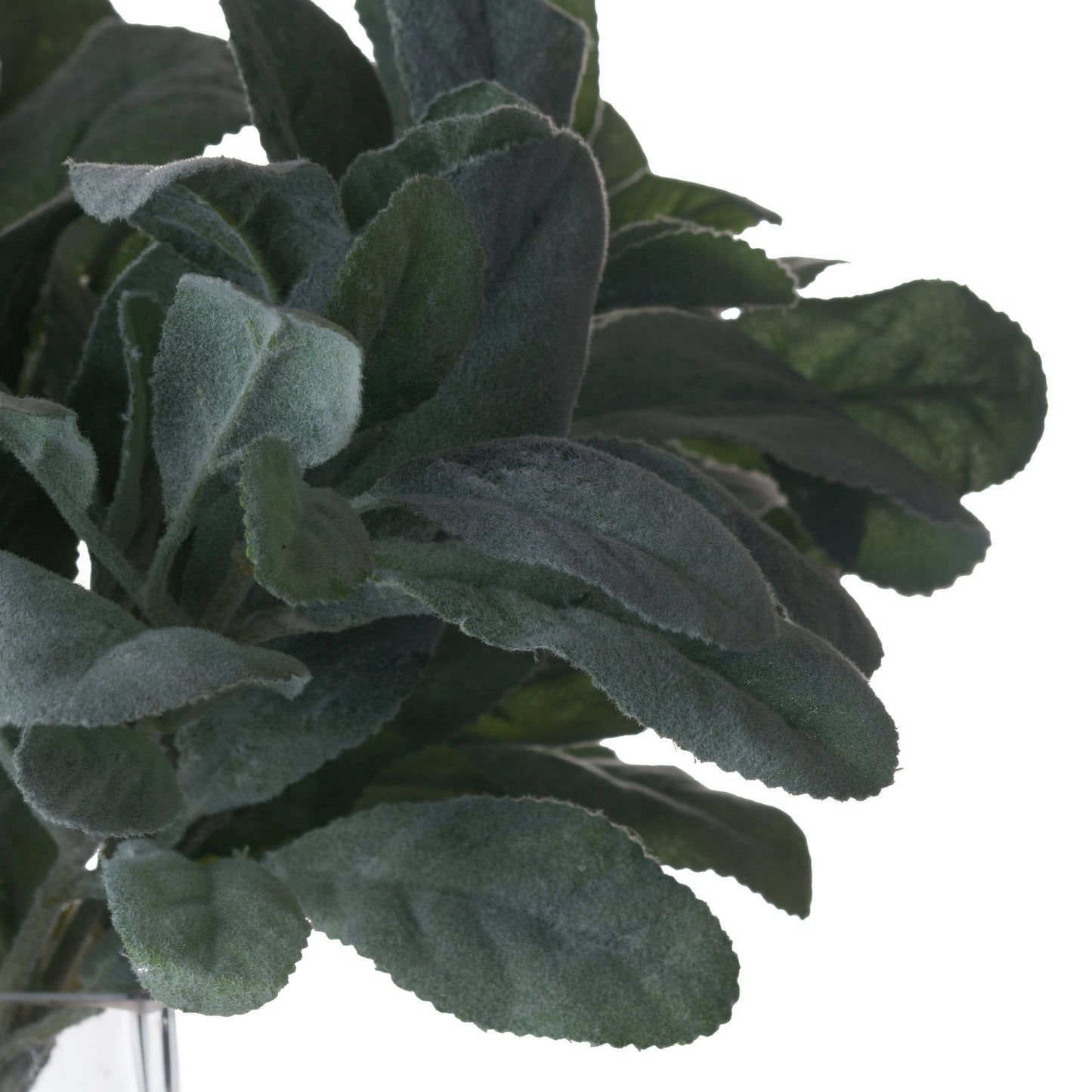 Lambs Ear Spray - Foliage 19564 Hill Interiors Faux Flowers Cote Furniture