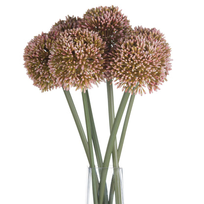 Allium - Pink  19589 Hill Interiors Faux Flowers Cote Furniture