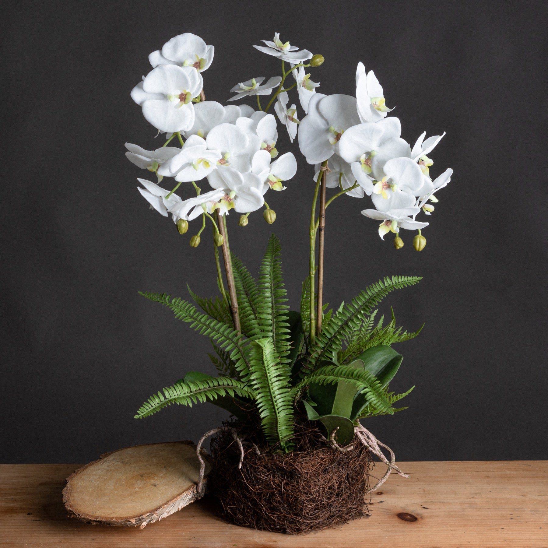 White Orchid And Fern Garden In Rootball - Large  19952 Hill Interiors Faux Flowers Cote Furniture