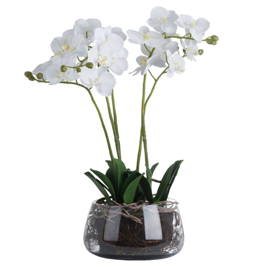 Orchid In Glass Pot - White  19957 Hill Interiors Faux Flowers Cote Furniture