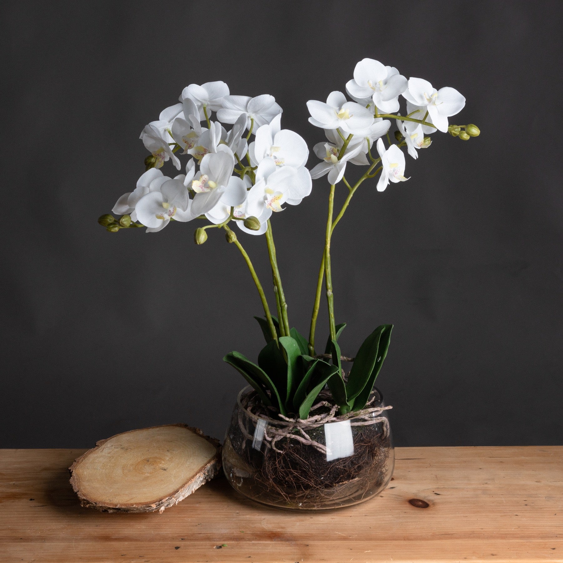 Orchid In Glass Pot - White  19957 Hill Interiors Faux Flowers Cote Furniture