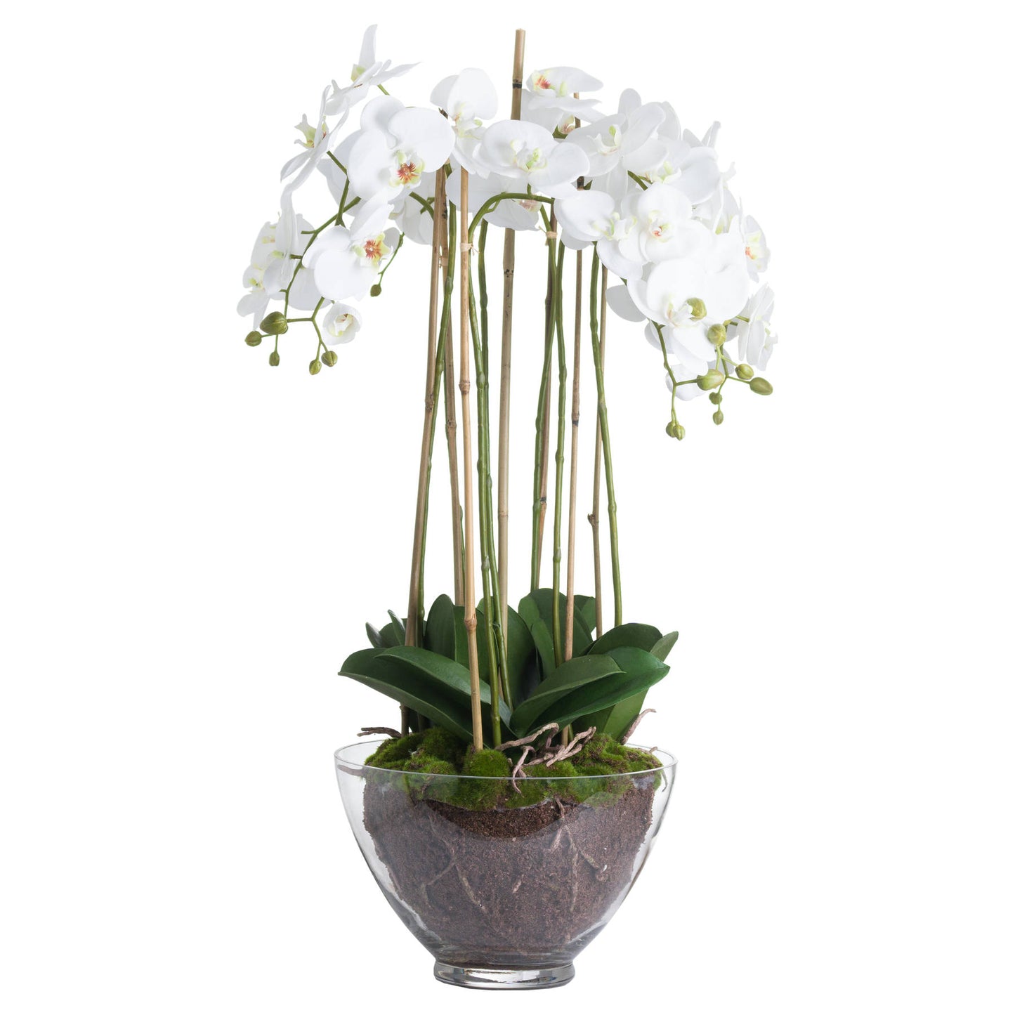 Orchid In Glass Pot (Large) - White  19959 Hill Interiors Faux Flowers Cote Furniture