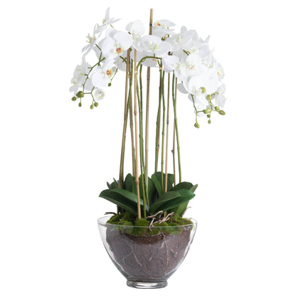 Orchid In Glass Pot (Large) - White  19959 Hill Interiors Faux Flowers Cote Furniture