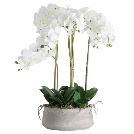 Orchid In Stone Pot (Large) - White  19960 Hill Interiors Faux Flowers Cote Furniture