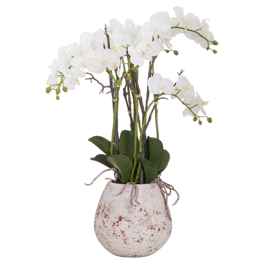 Stone Potted Orchid With Roots - Large  20430 Hill Interiors Faux Flowers Cote Furniture