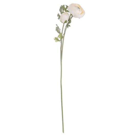 Ranunculus - Soft Cream  20541 Hill Interiors Faux Flowers Cote Furniture