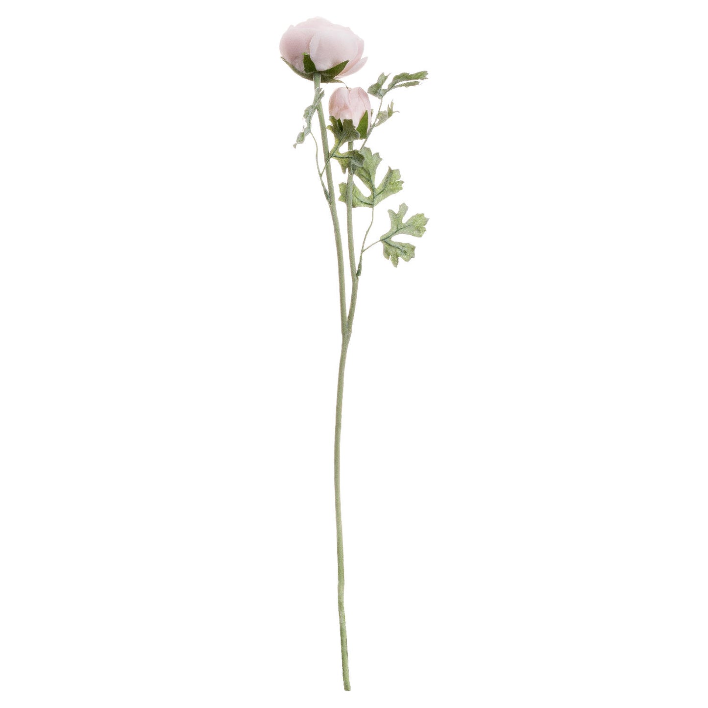 Ranunculus - Pastel Pink  20542 Hill Interiors Faux Flowers Cote Furniture