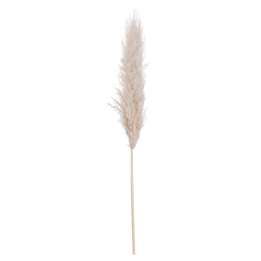 Pampas Grass - Cream  20543 Hill Interiors Faux Flowers Cote Furniture