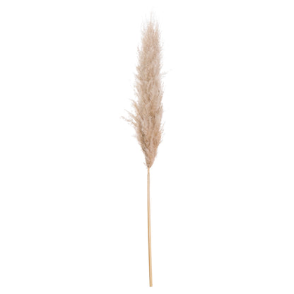 Pampas Grass - Butter  20544 Hill Interiors Faux Flowers Cote Furniture