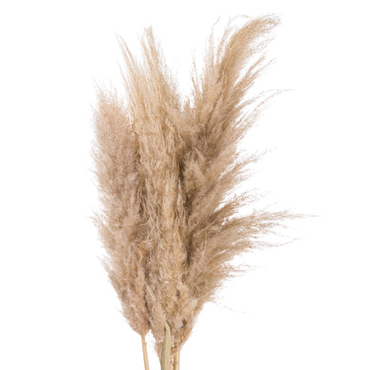 Pampas Grass - Butter  20544 Hill Interiors Faux Flowers Cote Furniture