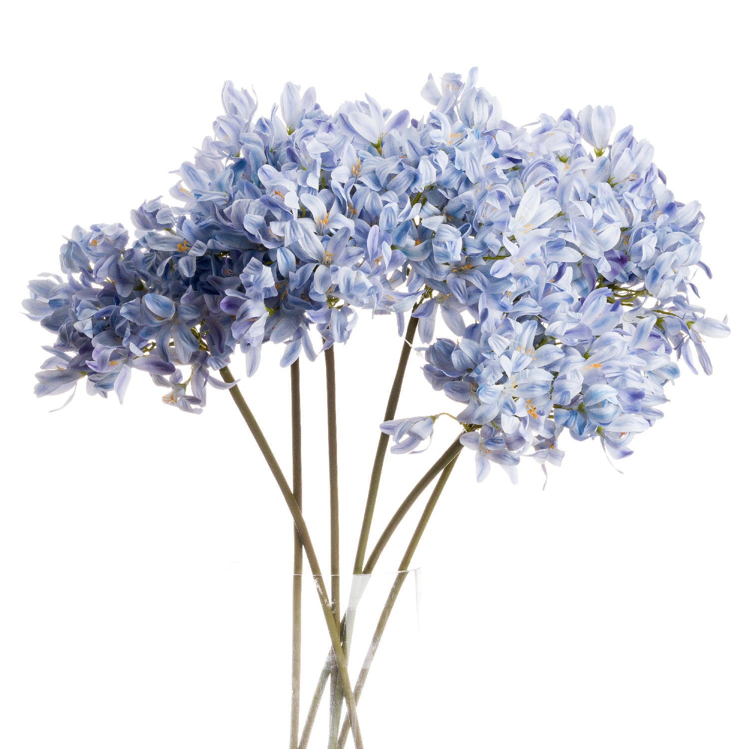 Large Headed Agapanthus - Light Blue  20888 Hill Interiors Faux Flowers,   Cote Furniture