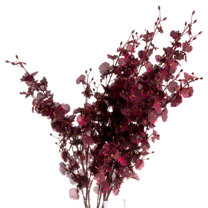 Orchid Spray - Deep Burgundy  20906 Hill Interiors Faux Flowers Cote Furniture