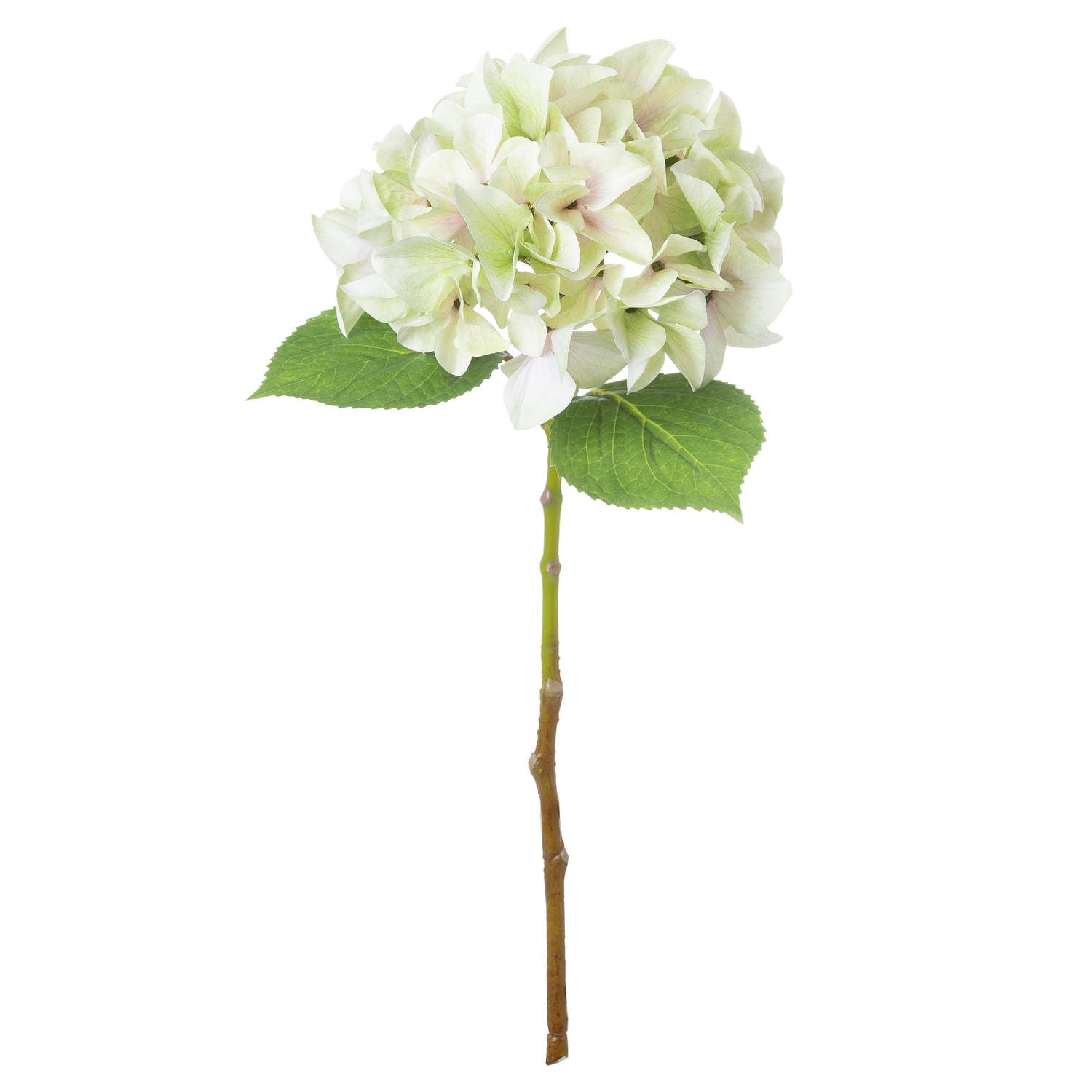 Single Hydrangea - Shabby Green  21065 Hill Interiors Faux Flowers Cote Furniture