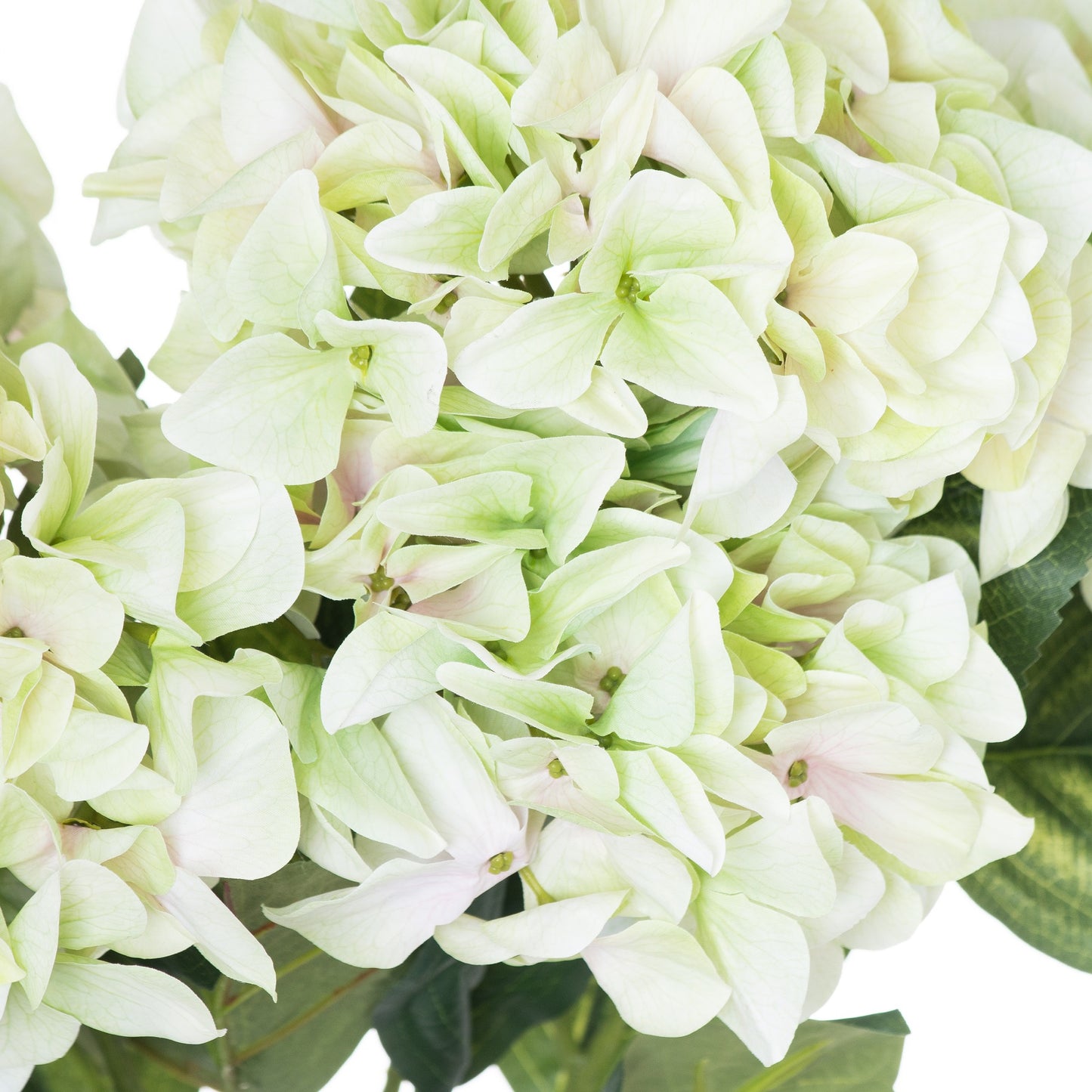 Hydrangea Bouquet - Shabby Green  21068 Hill Interiors Faux Flowers Cote Furniture