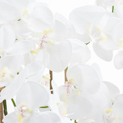 Tall Orchid In Glass Pot (Large) - White  21228 Hill Interiors Faux Flowers Cote Furniture