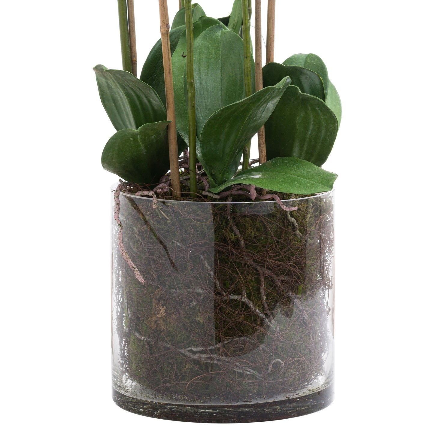 Tall Orchid In Glass Pot (Large) - White  21228 Hill Interiors Faux Flowers Cote Furniture