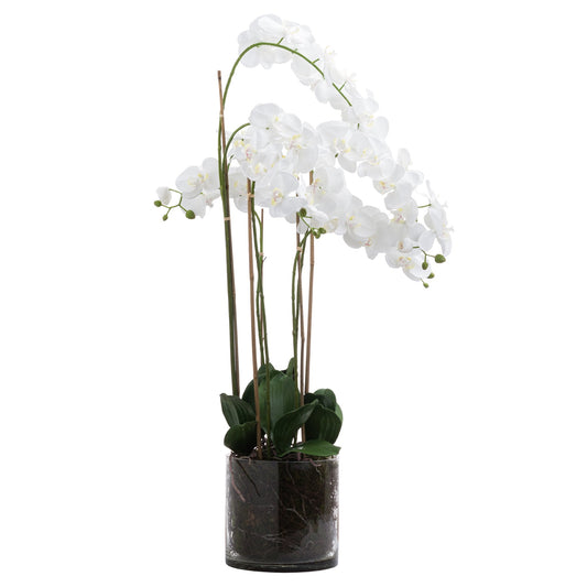 Tall Orchid In Glass Pot (Large) - White  21228 Hill Interiors Faux Flowers Cote Furniture