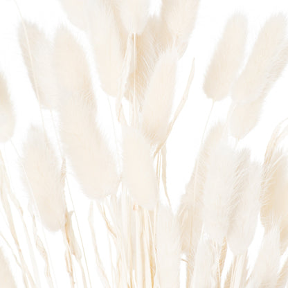 Dried Bunny Tail (Bunch of 60) - White 21690 Hill Interiors Faux Flowers Cote Furniture