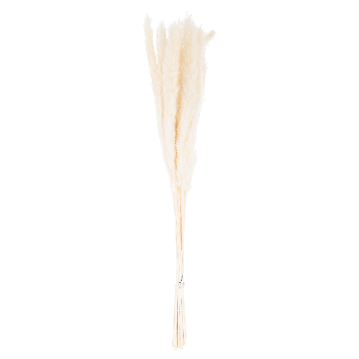 Mini Pampas Grass (Bunch of 15) - White 21695 Hill Interiors Faux Flowers Cote Furniture