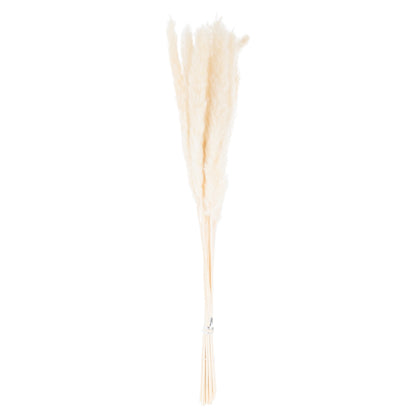 Mini Pampas Grass (Bunch of 15) - White 21695 Hill Interiors Faux Flowers Cote Furniture