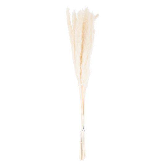 Mini Pampas Grass (Bunch of 15) - White 21695 Hill Interiors Faux Flowers Cote Furniture