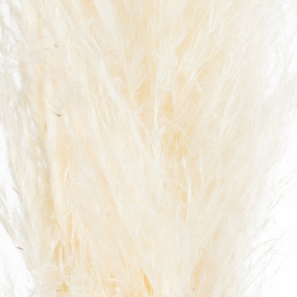 Pampas Grass Stem - Cream 21702 Hill Interiors Faux Flowers Cote Furniture