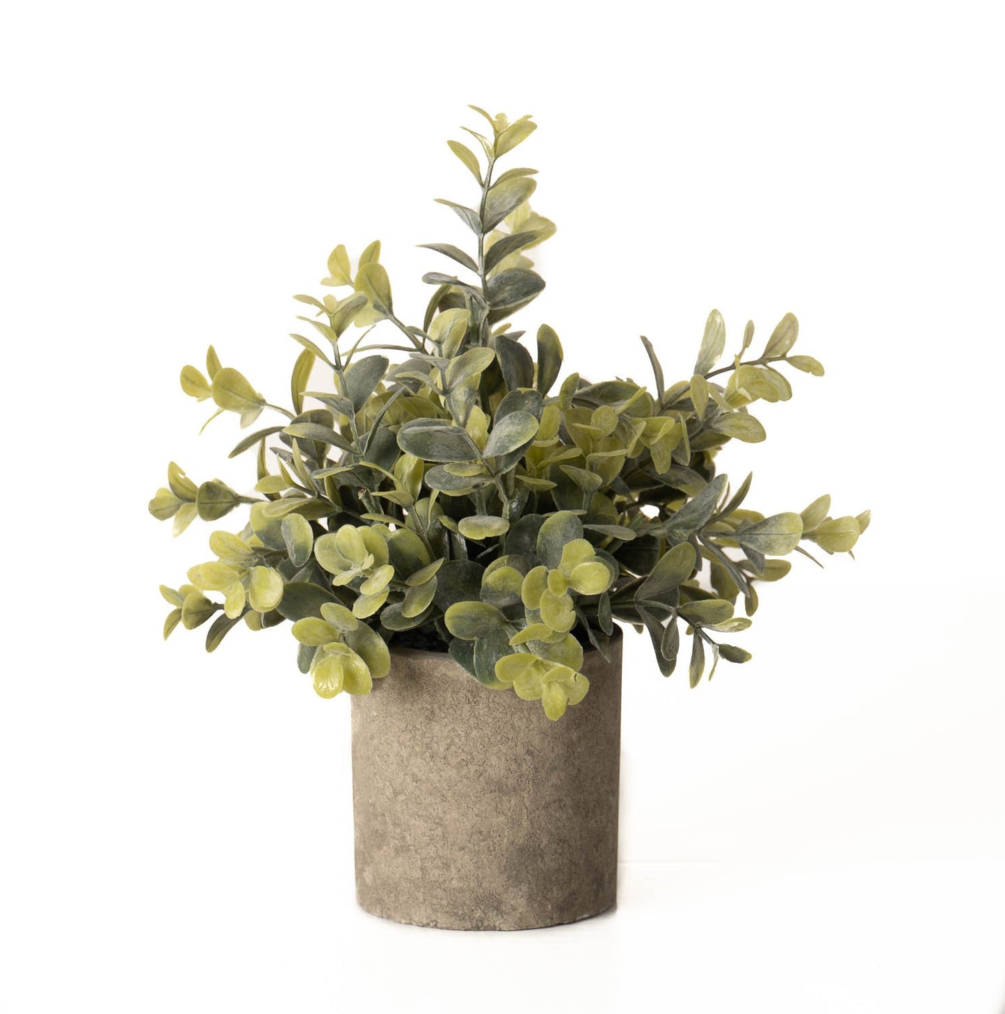 Eucalyptus Plant - In Stone Effect Pot 22094 Hill Interiors Faux Flowers Cote Furniture