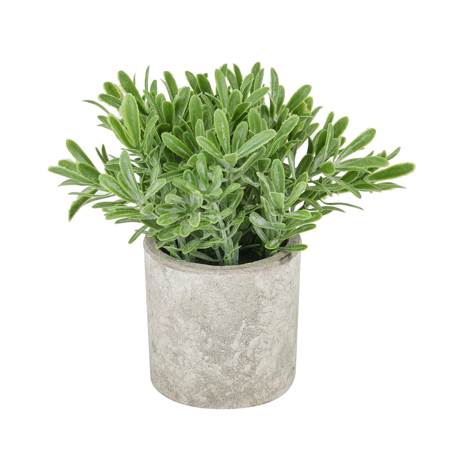 Buxus Plant - In Stone Effect Pot 22095 Hill Interiors Faux Flowers Cote Furniture