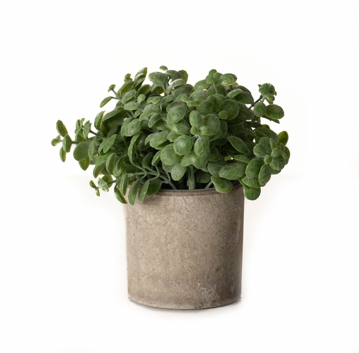 Basil Plant - In Stone Effect Pot 22096 Hill Interiors Faux Flowers Cote Furniture