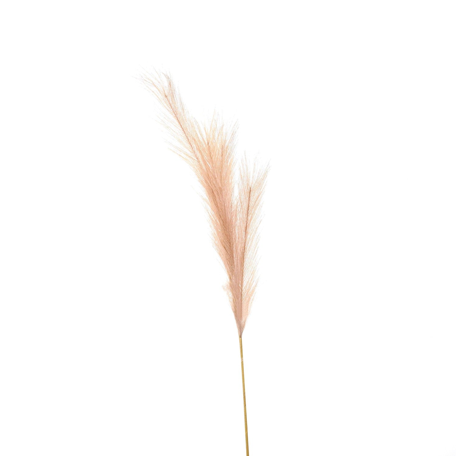 Faux Pampas Grass Stem - Neutral Tone 22099 Hill Interiors Faux Flowers Cote Furniture