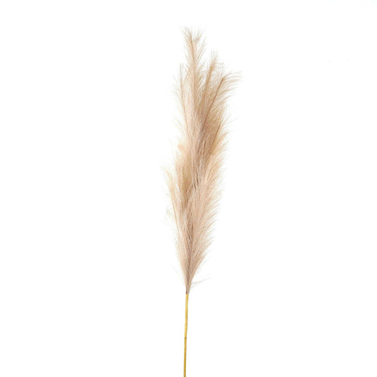 Faux Pampas Grass Stem (Large) - Bleached 22106 Hill Interiors Faux Flowers Cote Furniture