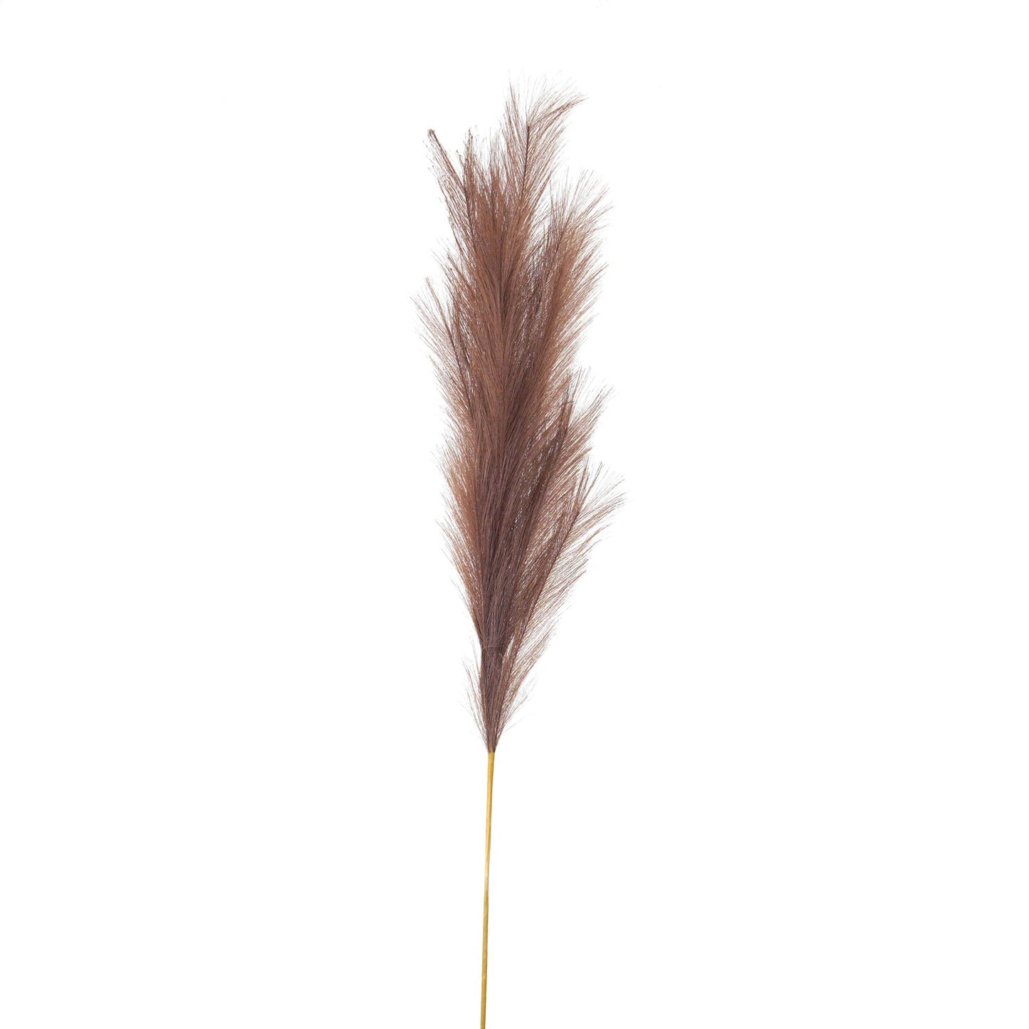 Faux Pampas Grass Stem (Large) - Taupe  22108 Hill Interiors Faux Flowers Cote Furniture