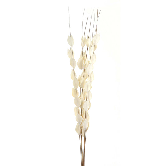 Bouquet Of Dried Thlaspi Arvense - White 22203 Hill Interiors Faux Flowers Cote Furniture