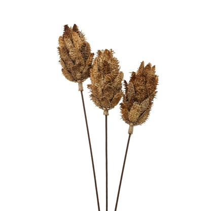 Bouquet Of Dried Protea - Natural 22205 Hill Interiors Faux Flowers Cote Furniture