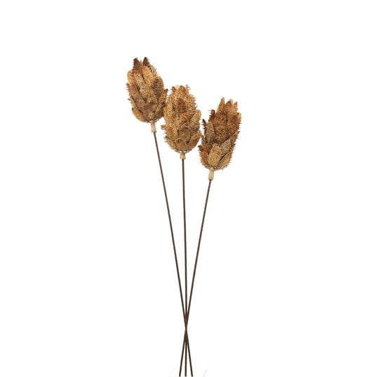 Bouquet Of Dried Protea - Natural 22205 Hill Interiors Faux Flowers Cote Furniture