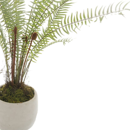 Potted Boston Fern - White 22211 Hill Interiors Faux Flowers Cote Furniture