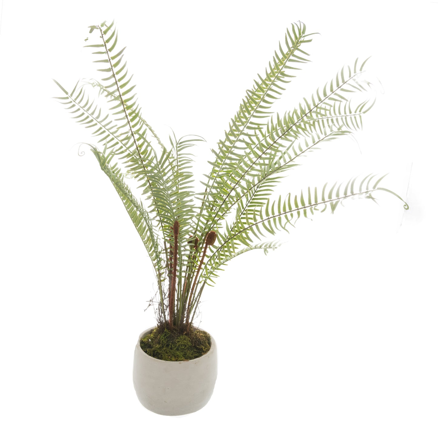 Potted Boston Fern - White 22211 Hill Interiors Faux Flowers Cote Furniture