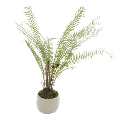 Potted Boston Fern - White 22211 Hill Interiors Faux Flowers Cote Furniture