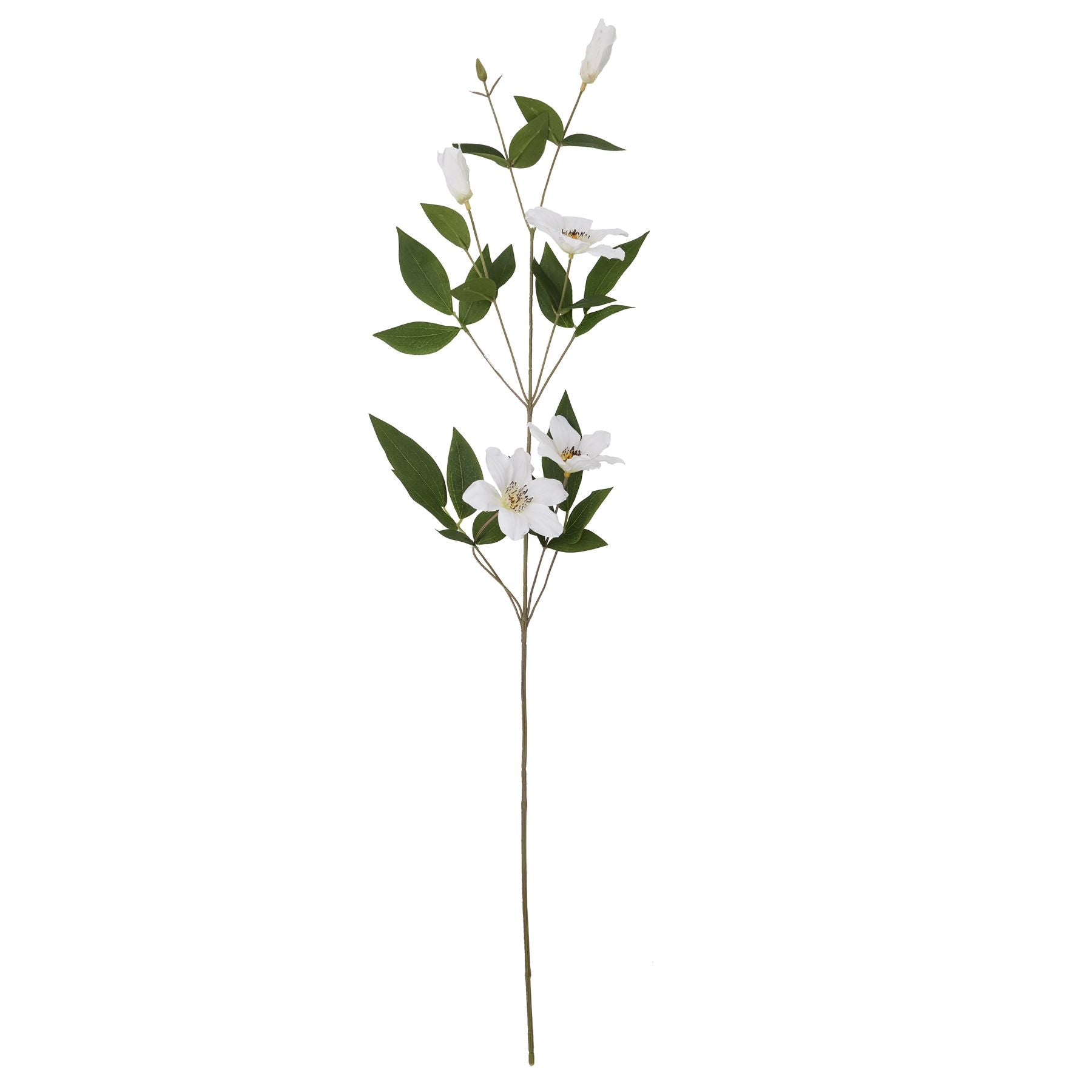 Florida Clematis - White  22630 Hill Interiors Faux Flowers Cote Furniture